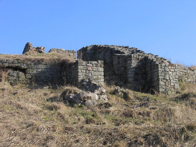 Tarnów Castle